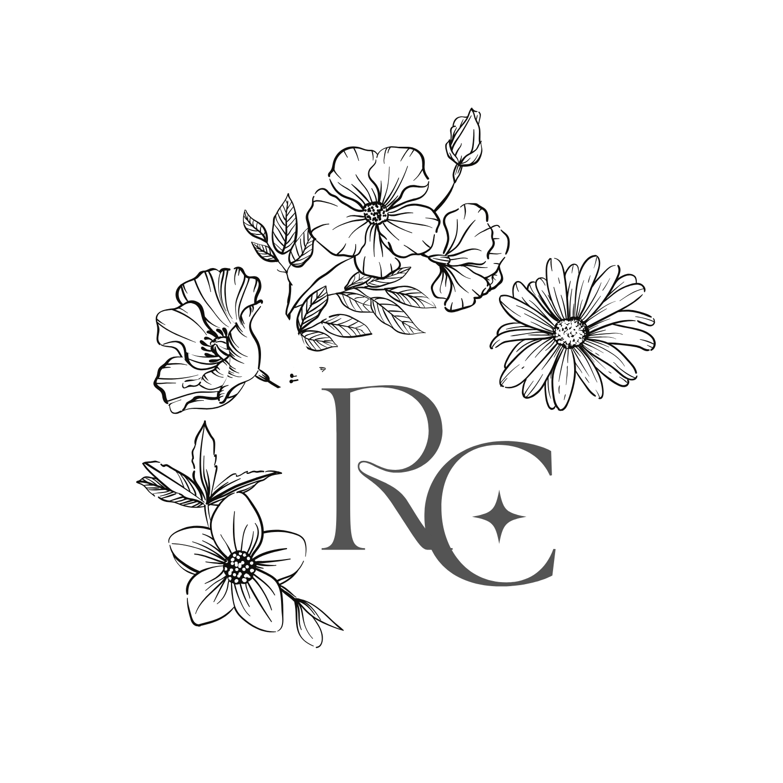 Rachvi Creation